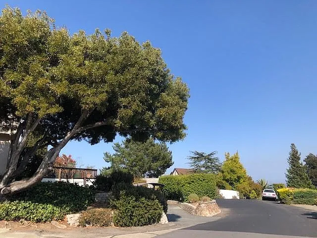 60 Marina Court Dr — Photo 7