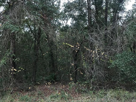 2nd image of LOT 27 BRETT Avenue