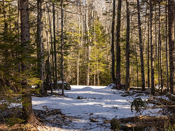 3rd image of 10-4M Forest Hill