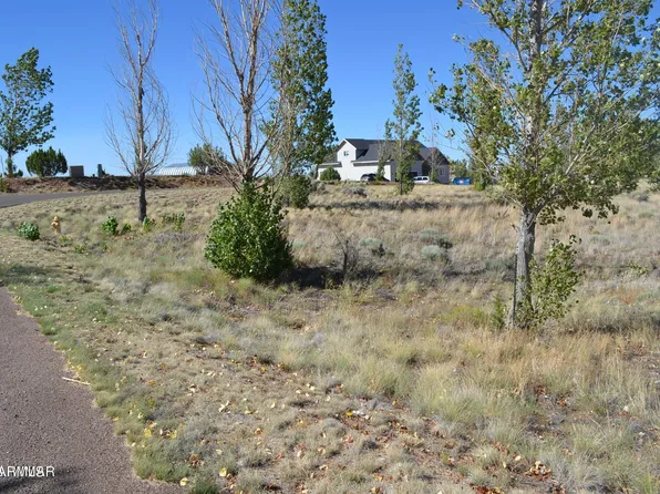 1350 S Meadow Way #83, Taylor, AZ 85939