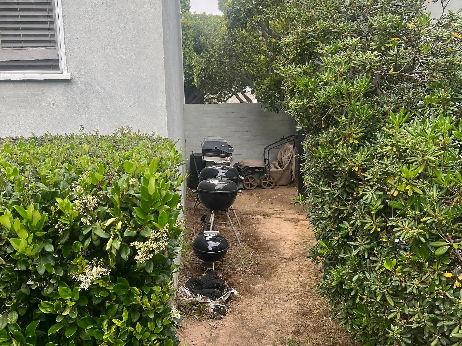 1252 Franklin St — Photo 4
