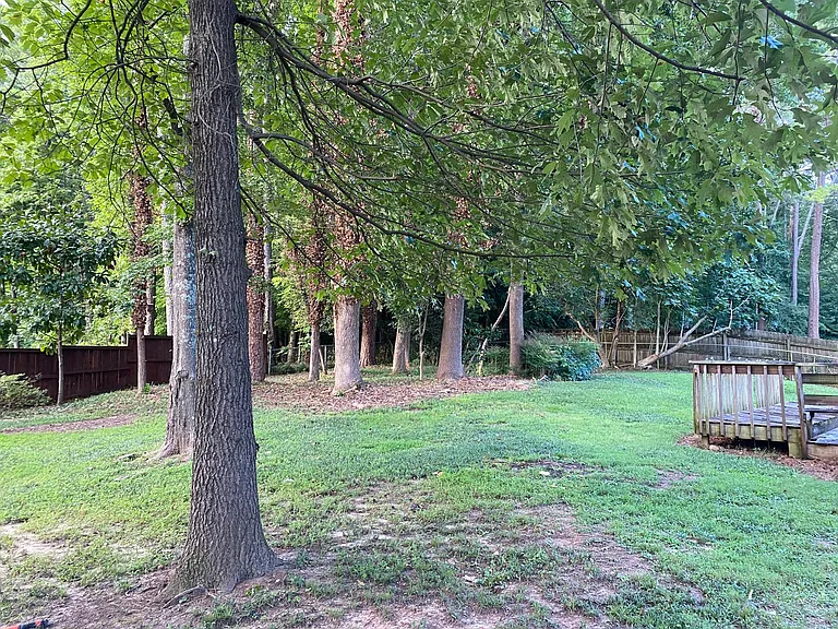 Back yard with fence