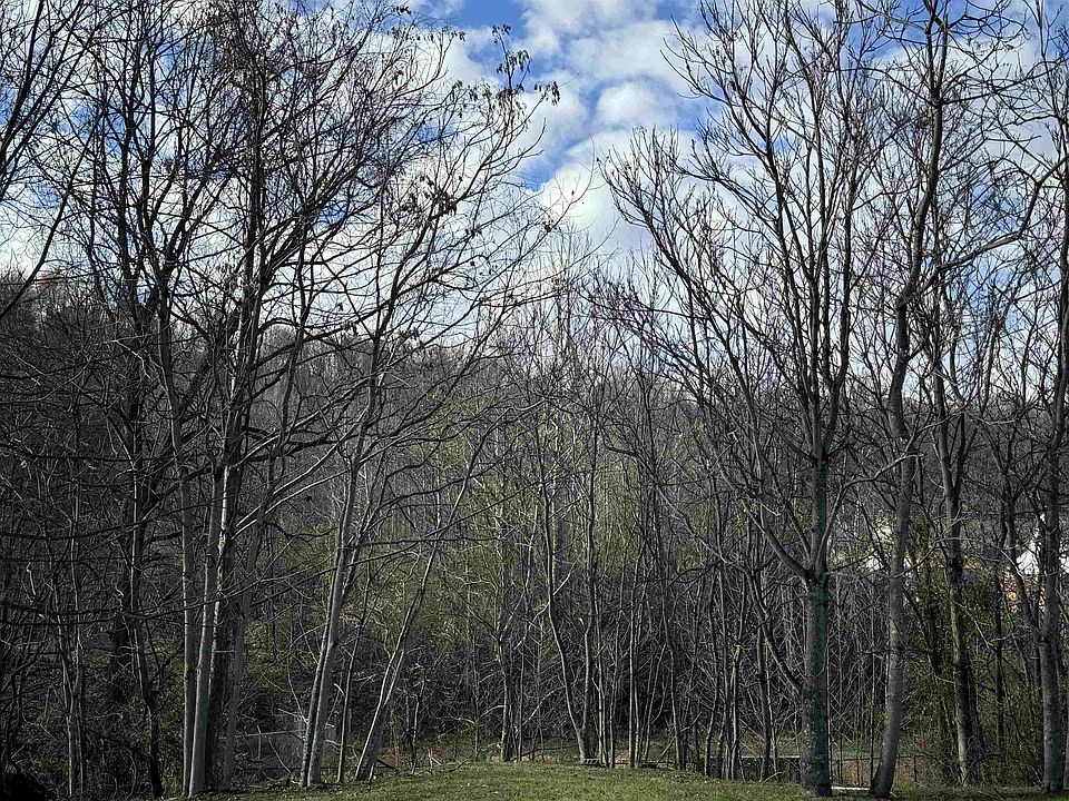 2nd image of Anmoore Rd