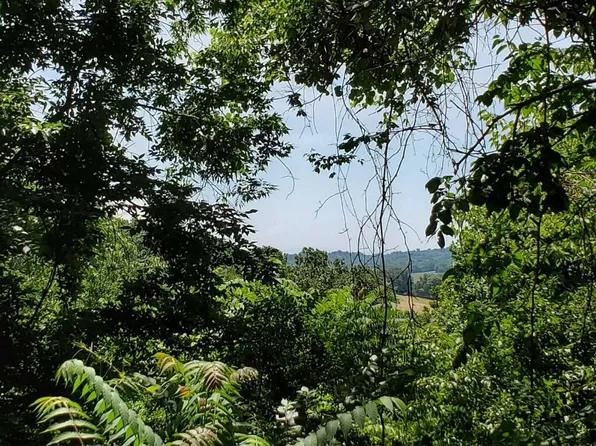 Chappell Rd, Surgoinsville, TN 37873