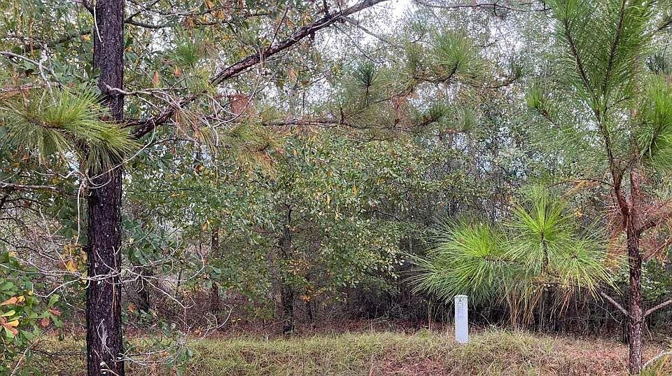 1st image of 0 Nelson Ct Lot 37