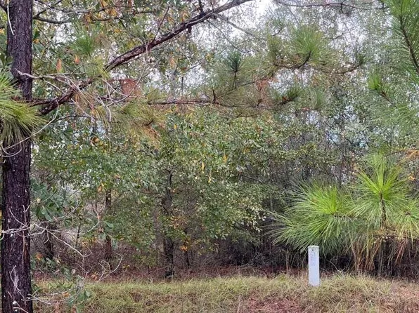 0 Nelson Ct Lot 37, Louisville, GA