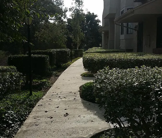 9925 Paseo Montril — Photo 13