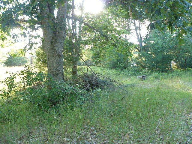 1st image of N Higgins Lake Dr