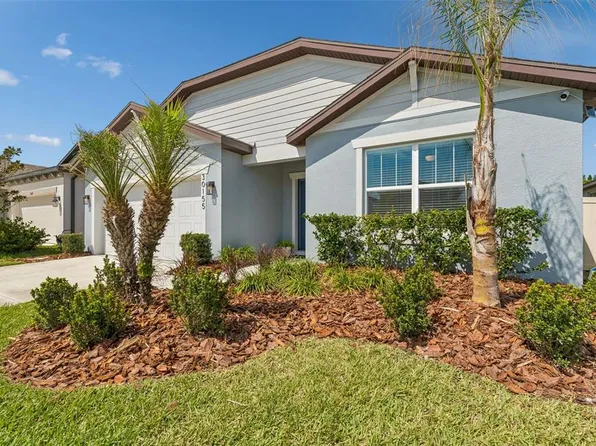 30155 Merilee Pl, Wesley Chapel, FL 33545