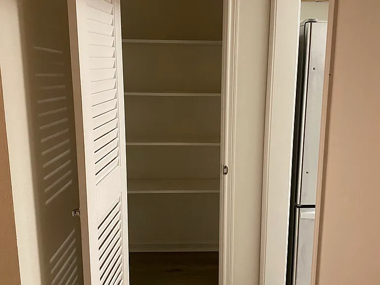 Pantry/ Closet _ located off of the kitchen
