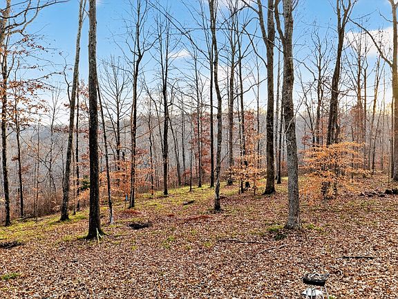 5th image of 100 Waynoe Rd