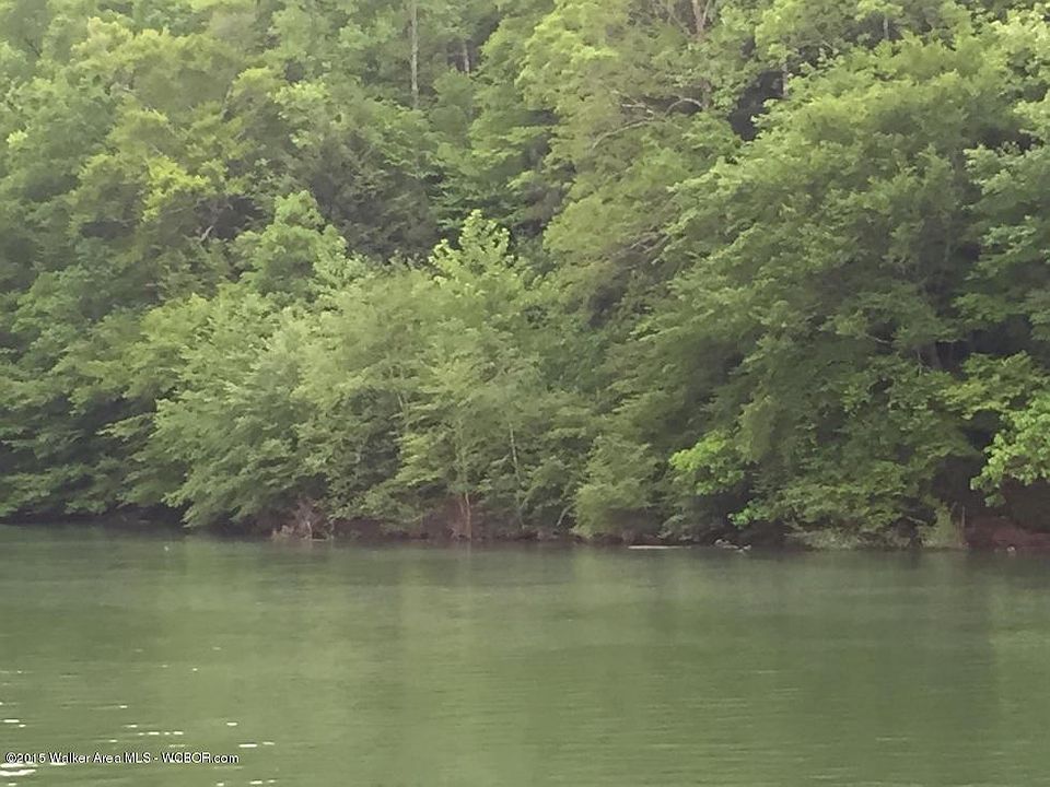 Image 1: Wooded Acreage