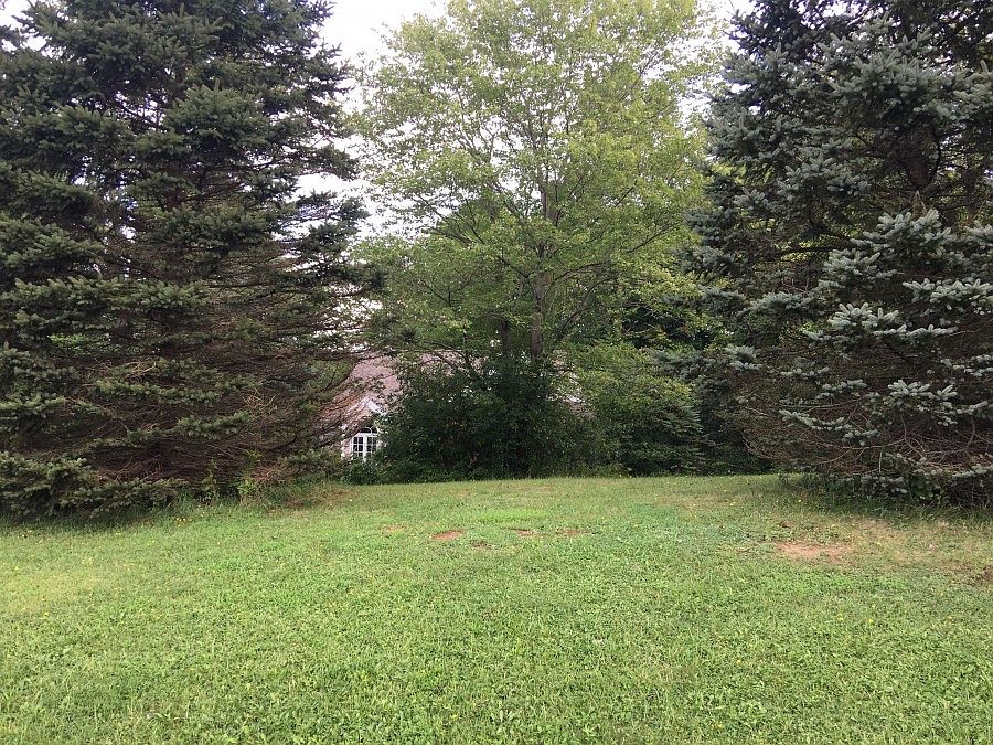1st image of 14919 Surrey Downs
