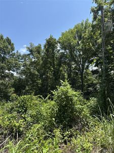 Plat 9 Lots 13 And 14 Deer Run, Van Buren, MO, 63965
