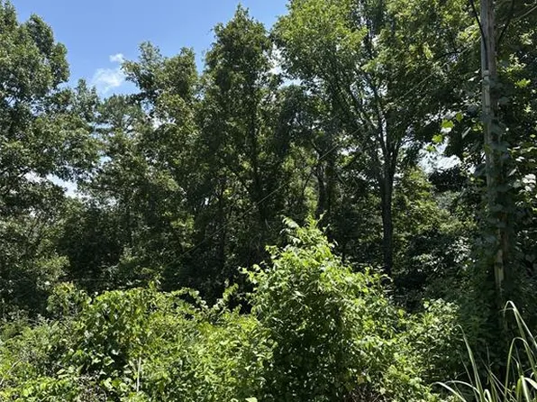 Plat 9 Lots 13 And 14 Deer Run, Van Buren, MO 63965