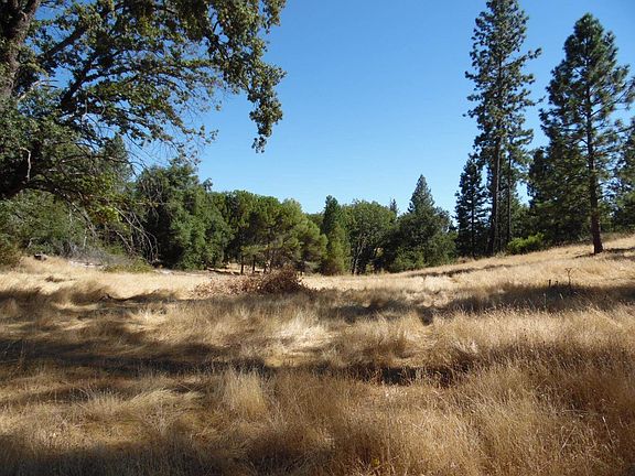 4th image of 10006 Wendell Rd