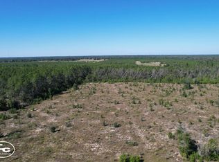 0 NW Telogia Creek Dr, Hosford, FL 32334