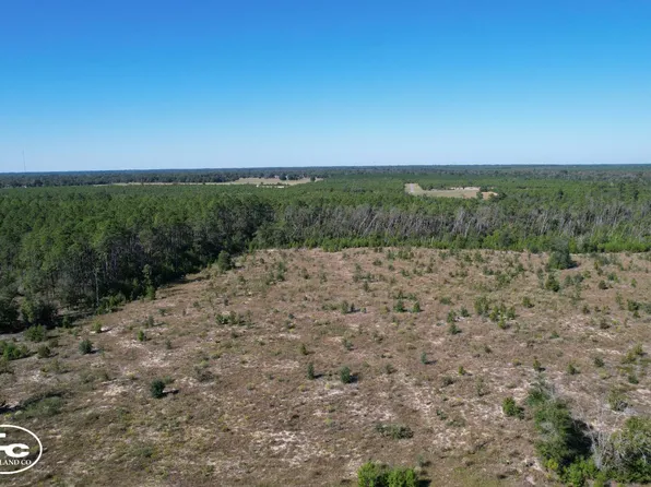0 NW Telogia Creek Dr, Hosford, FL 32334