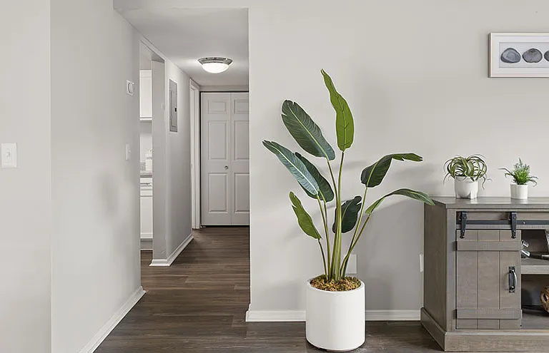 St. John's Pointe Apartment Homes — Photo 10