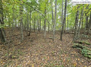 TBD Parsons Hill Road, Lansing, NC 28643
