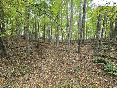 TBD Parsons Hill Road, Lansing, NC, 28643