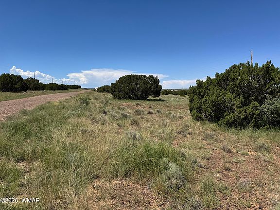 2nd image of 119 County Road 5106