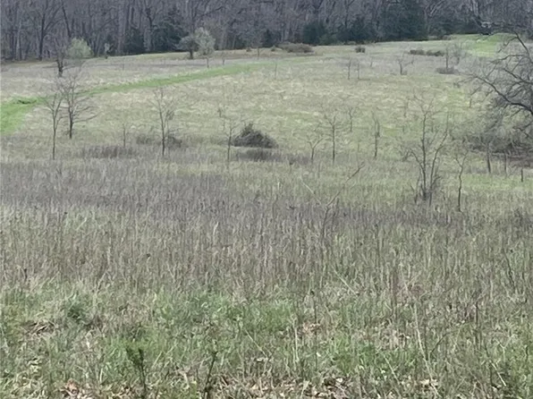 0 County Road 1036, Montgomery City, MO 63361