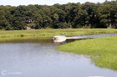Boat coming in through marshes