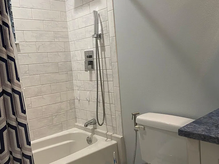 Master bath, rain shower, bidet