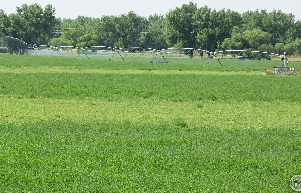 1st image of 28904 County Road 53
