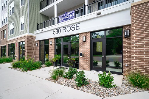 530 Rose Photo 1