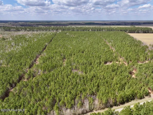 0 Guinea Mill Road, Ernul, NC 28527