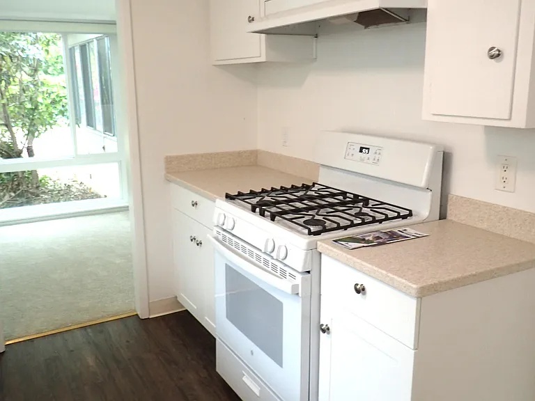 308 N La Patera Ln — Photo 7