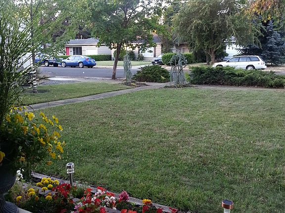 Front yard