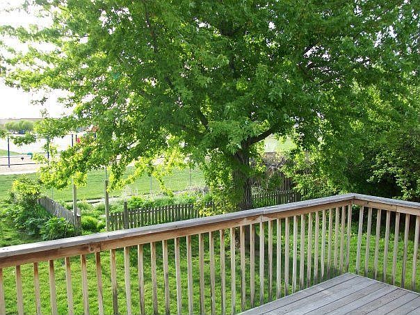 Garden from Rear Deck