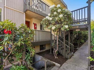 4059 Donald St APT E, Eugene, OR, 97405