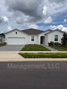 312 Free Range Dr, Groveland, FL, 34736