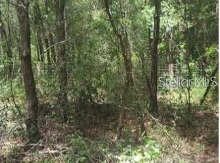 SW 156th Pl Lot 296, Dunnellon, FL 34432