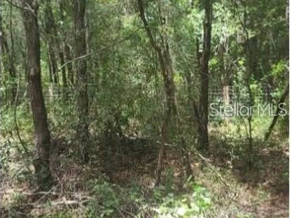 SW 156th Pl Lot 296, Dunnellon, FL 34432