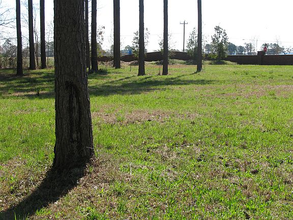 3rd image of 40 Currituck Court #Lot 112