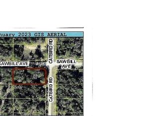 CATBIRD ROAD LOT 20, WEEKI WACHEE, FL 34614