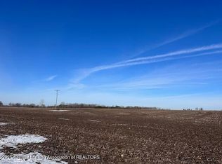 V/l S, Saint Johns, MI 48879