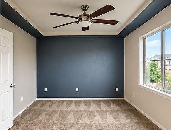 5th image of 4481 Telluride Ct