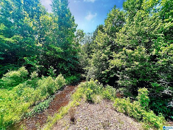 3rd image of 0 Highway 278 #0