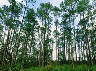 701 Phillips Rd, Interlachen, FL 32148