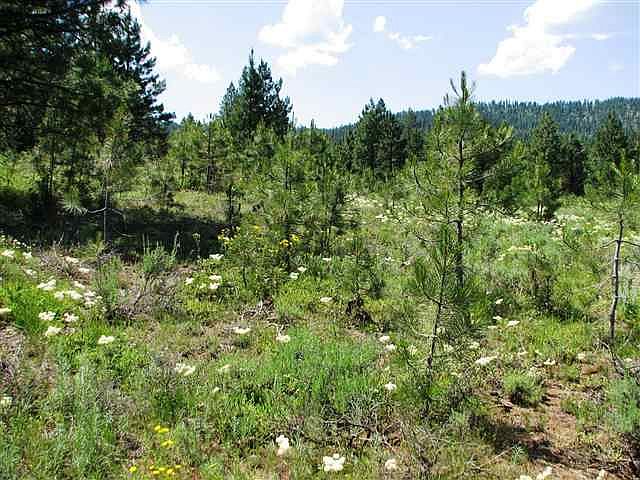 2nd image of 46 Old State Hwy