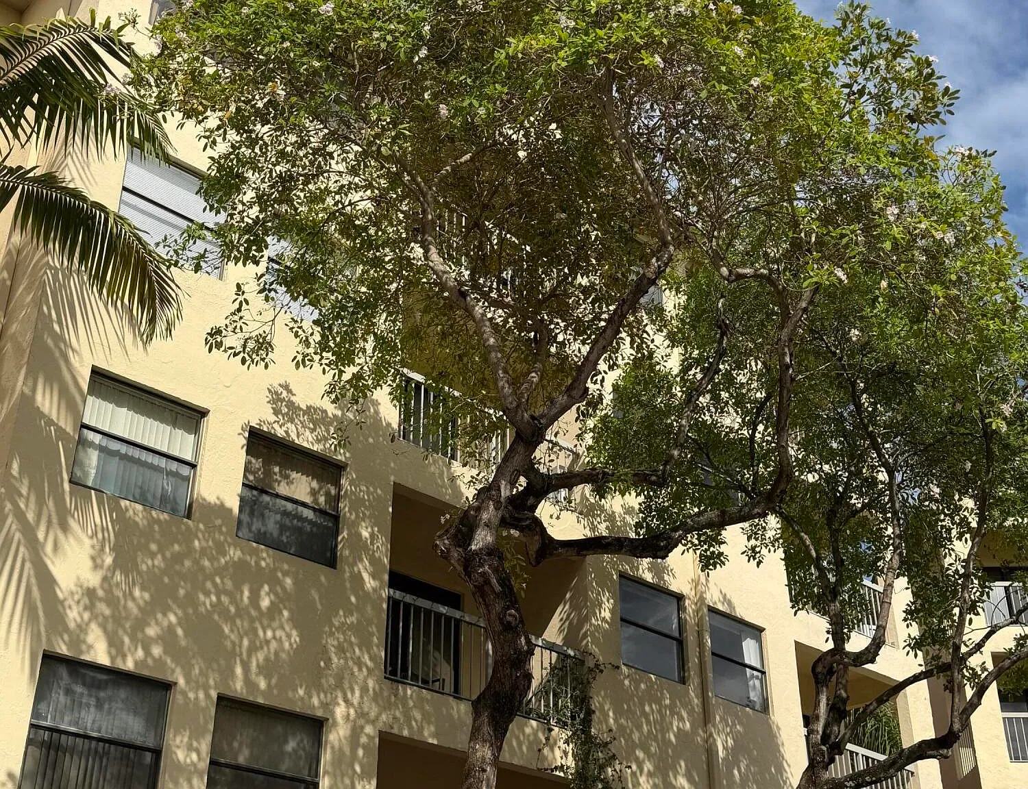 1 bed, 1.0 bath, 810 sqft, $1,925 — Photo 4