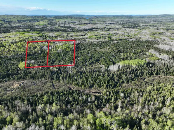 Xxx Arrowhead Trl, Hovland, MN 55606