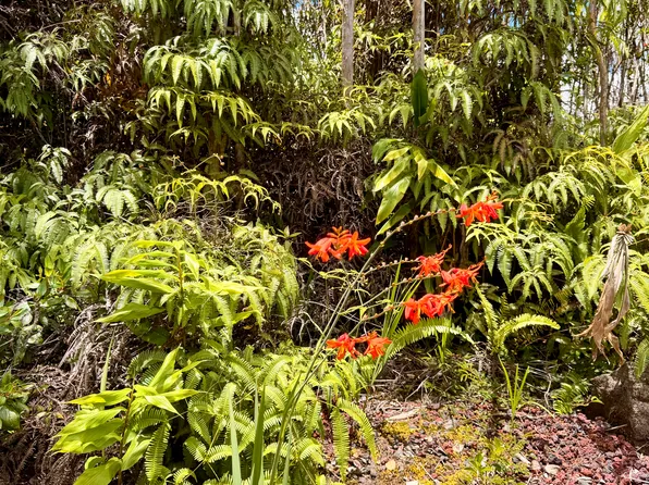 Makoa Rd Lot 39, Volcano, HI 96785