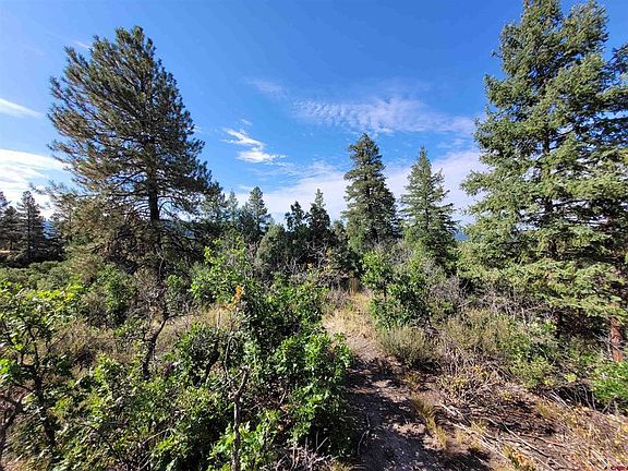 5th image of 974 Deer Trail